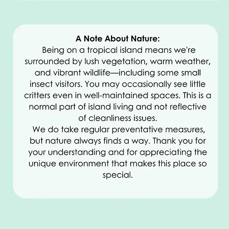 Sal E Pimenta House - A Wellbeing Retreat Βίλα Machico (Madeira)