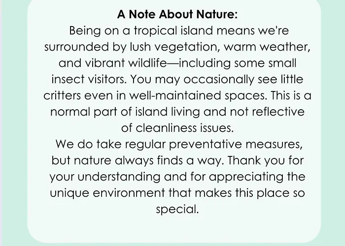 Sal E Pimenta House - A Wellbeing Retreat Villa Machico (Madeira)